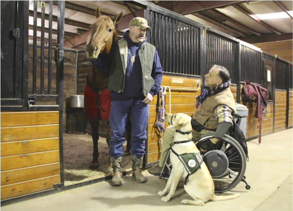 Horses helping vets: Program slowly gathering steam