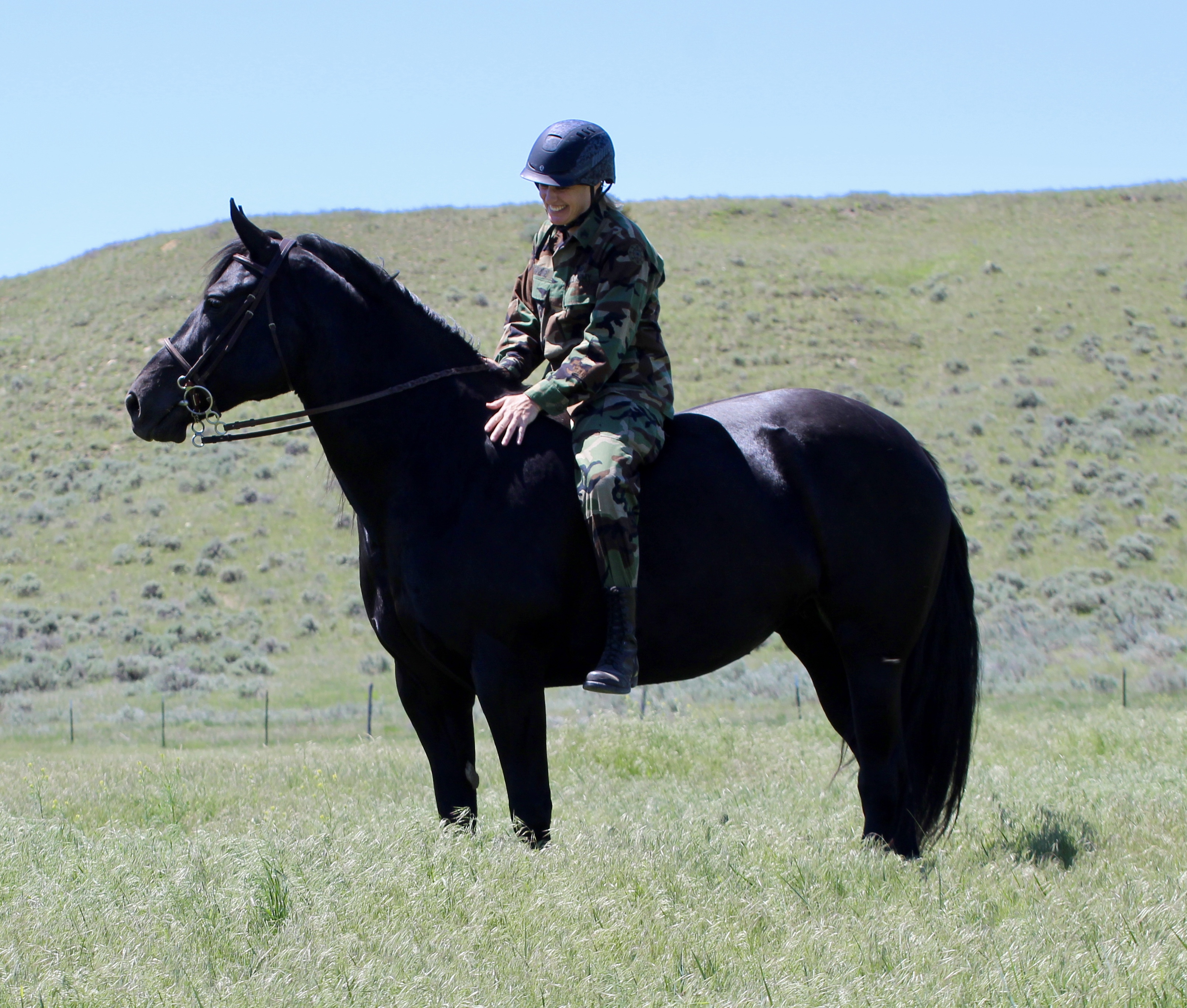 Save the Date – Horses Spirits Healing Veteran and Donor Appreciation Day September 14th, 2019